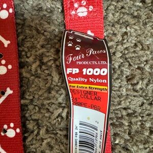 Red Nylon Dog Collar